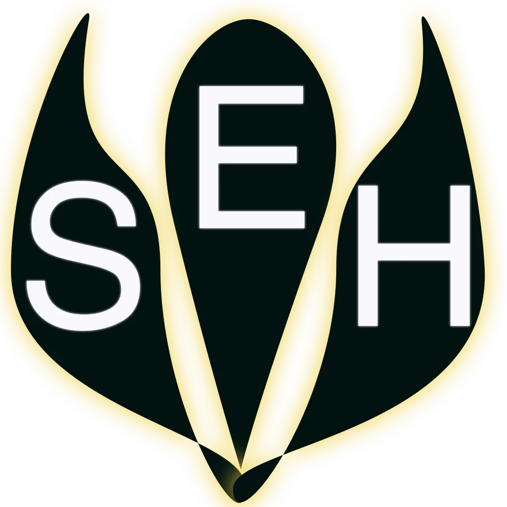 Project Studio El Horia